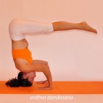 65-urdhva dandasana