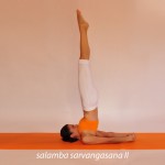 Ισορροπία στους ώμους με υποστήριξη ΙΙ – Supported shoulderstand II   <!DOCTYPE html>
<html>
<head>
<style>
.button {
    background-color: #ff6b06;
    border: none;
    color: white;
    padding: 2px 10px;
    text-align: center;
    text-decoration: none;
    display: inline-block;
    font-size: 15px;
    margin: 4px 2px;
    cursor: pointer;
}

.button3 {border-radius: 8px;}

</style>
</head>
<body>
<a href="http://www.elsayoga.com/benefits-salamba-sarvangasana-ii/">
<button class="button button3">Οφέλη</button>

</body>
</html>


