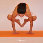 Η στάση του γερανού (πουλί)  /   Crane pose