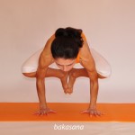 Η στάση του γερανού (πουλί)  /   Crane pose