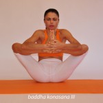 Η στάση της δεμένης γωνίας III  /  Caught angle pose III