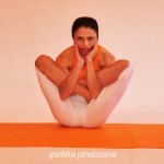 Η στάση του εμβρύου στη μήτρα   /  Embryo in the womb pose 