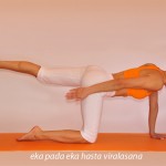 Η στάση της γάτας με ένα χέρι, ένα πόδι  /  Cat pose with one hand, one leg