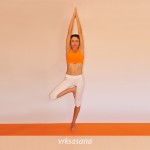 Η στάση του δέντρου  /  Tree pose