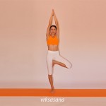 Η στάση του δέντρου  /  Tree pose