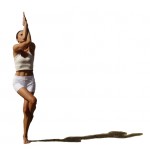 garudasana+shadow