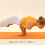 Η στάση του παγονιού με λωτό  /   Lotus peacock pose