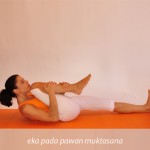 Κλειδωμένο πόδι  /  Leg lock pose