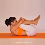 Κλειδωμένα πόδια  /  Legs lock pose